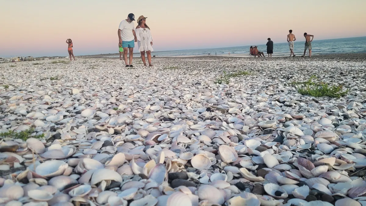 Las mejores playas para una escapada este verano 2024 Las mejores playas para una escapada este verano 2024