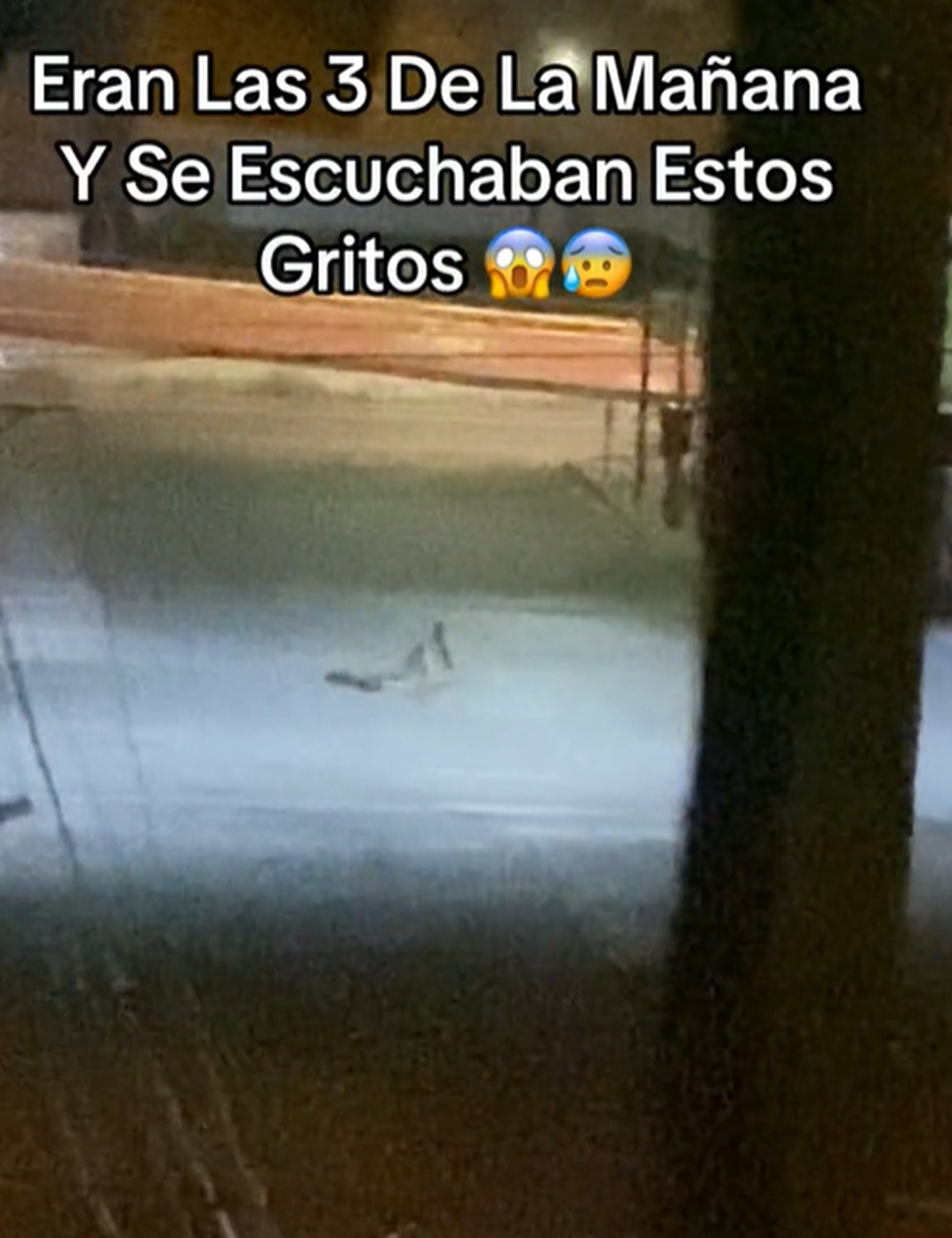 Captura del video que registró un tiktoker. Captura del video que registró un tiktoker.