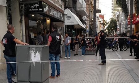 Al arbolito lo daban por perdido y lo encontraron en un local de ropa de la peatonal de Santa Fe. Al arbolito lo daban por perdido y lo encontraron en un local de ropa de la peatonal de Santa Fe.
