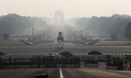 Los monos se adentraron cada vez más hacia los lugares ocupados por la población en la India Los monos se adentraron cada vez más hacia los lugares ocupados por la población en la India