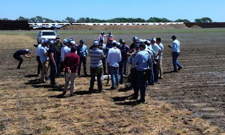 agricultura regenerativa como motor del desarrollo local en argentina agricultura regenerativa como motor del desarrollo local en argentina