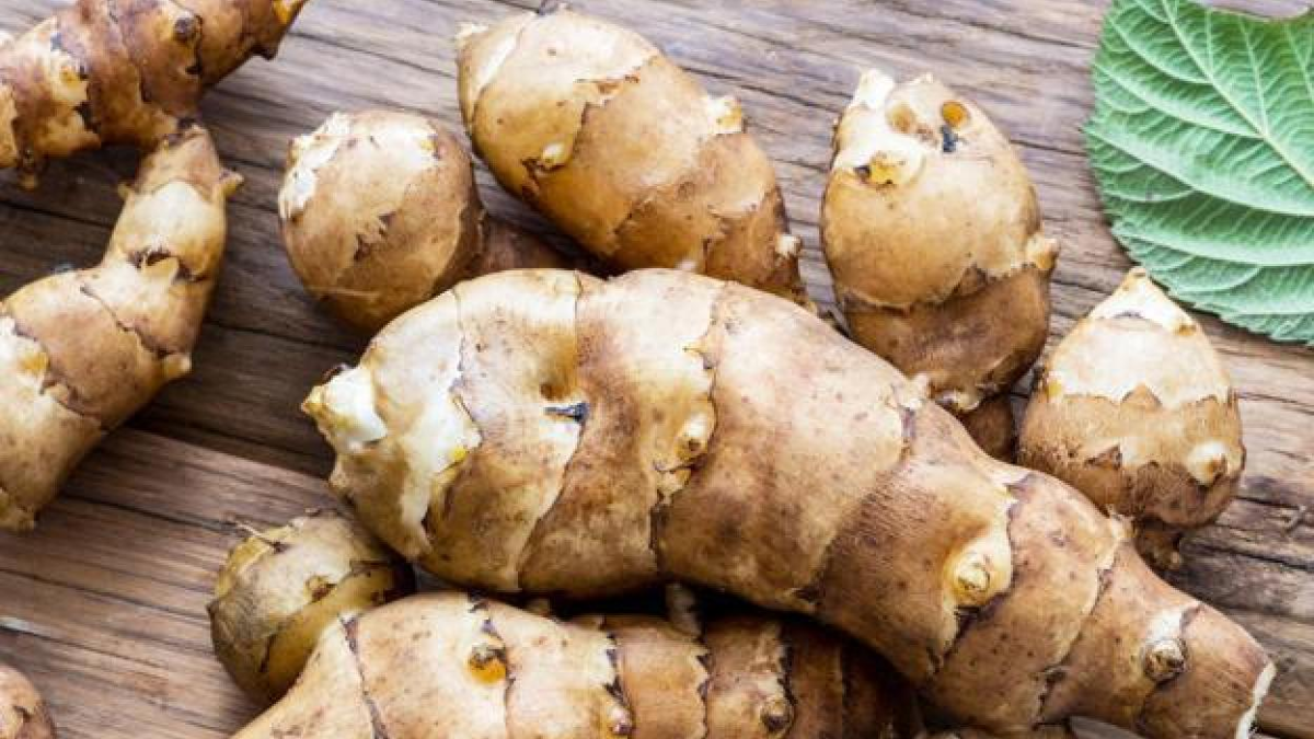 MasterChef: qué es el topinambur