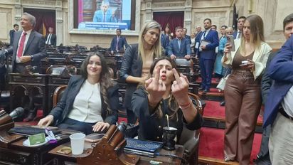 Dos diputadas de La Libertad Avanza discutieron en plena sesión y una le tiró un vaso con agua a la otra