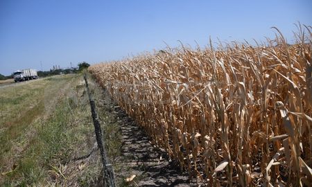 Según el funcionario nacional, la idea es llevar tranquilidad al sector. Según el funcionario nacional, la idea es llevar tranquilidad al sector.
