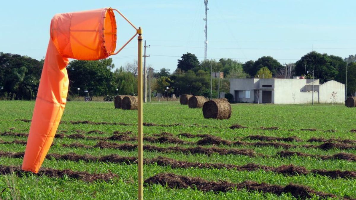 Docentes rafaelinas llevarán al aula el conocimiento que recibieron sobre el agro local