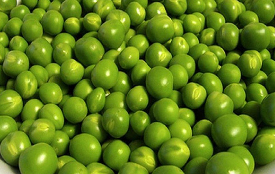 Beneficios y propiedades de las arvejas