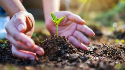 La Siembra Granel, Alimentación consciente a tu casa