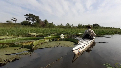 Abrió al público el Parque Nacional Islas de Santa Fe: cómo hacer para visitarlo