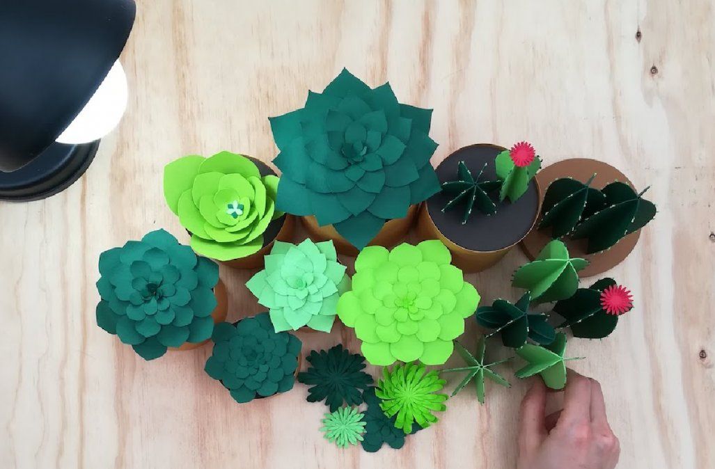 Si no tenés mano para las plantas y todas se te mueren