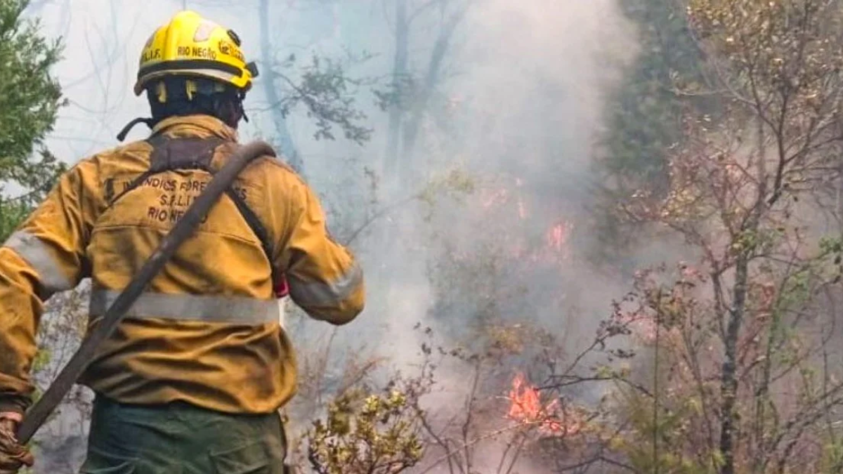 Los brigadistas contuvieron el incendio en El Turbio.