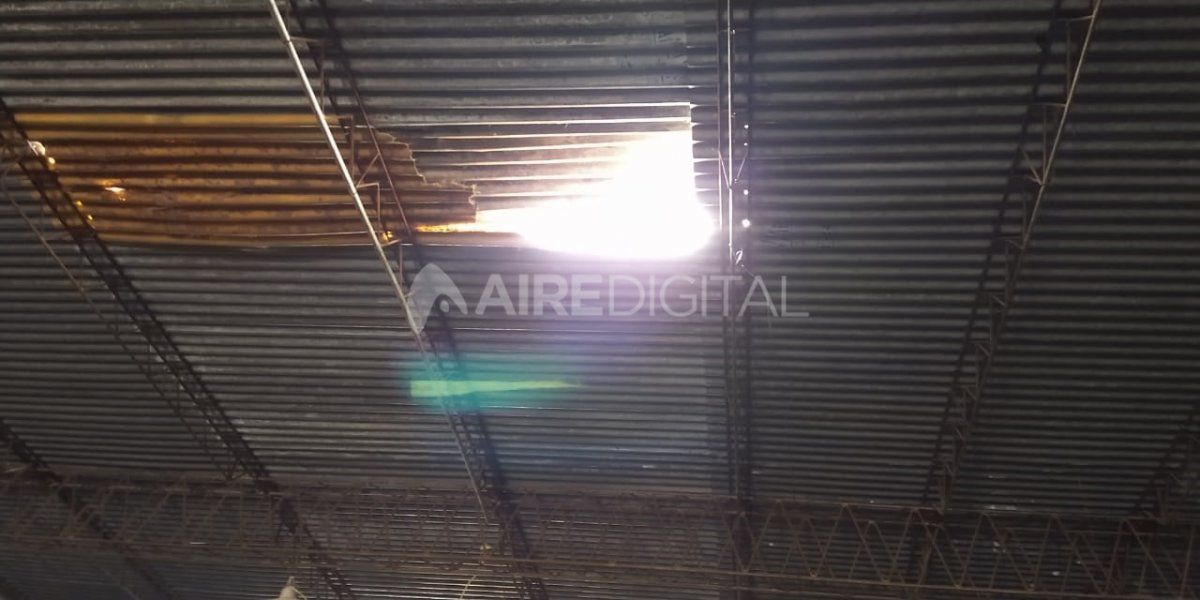 Entraron por el techo, bajaron por un cable y robaron un depósito de pañales