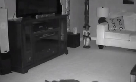 Video aterrador: fantasma abandona una muñeca para atacar al gato de la familia Video aterrador: fantasma abandona una muñeca para atacar al gato de la familia