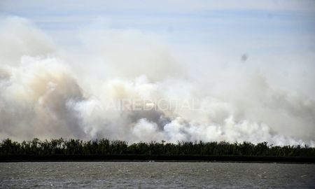 Miles de hectáreas están perdiendo su vegetación y su fauna, expresó Clara García sobre los incendios en las islas. Miles de hectáreas están perdiendo su vegetación y su fauna, expresó Clara García sobre los incendios en las islas.