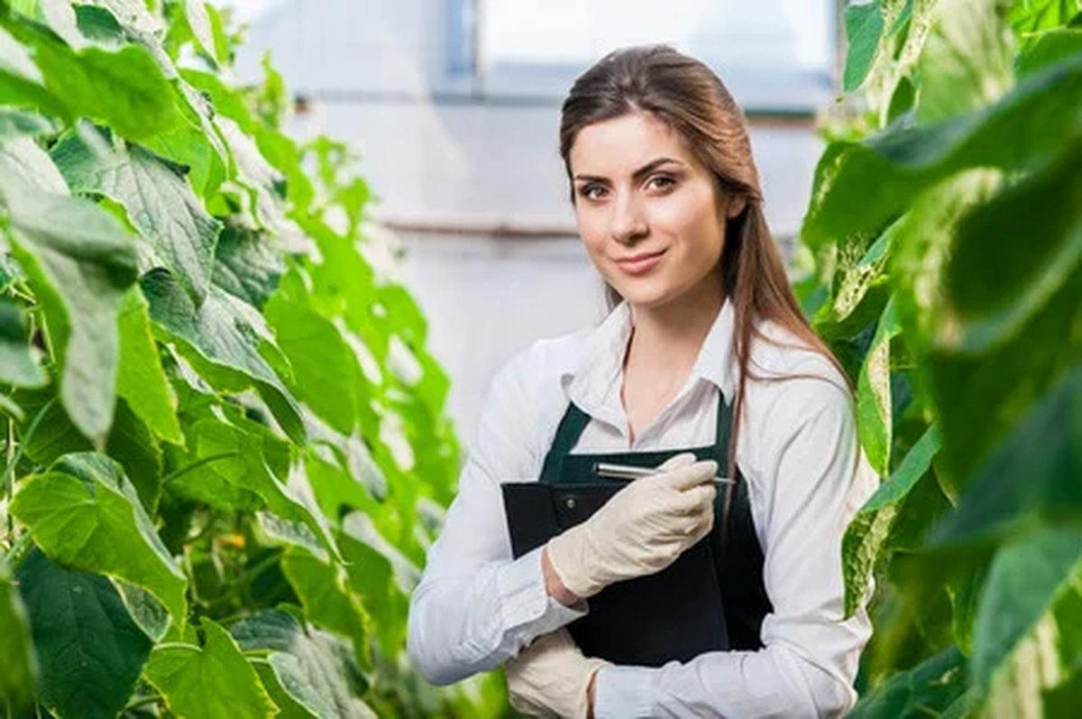 Entre las principales tareas de un ingeniero agrónomo se destaca la gestión de recursos agropecuarios y el manejo de recursos naturales y su gestión sustentable.