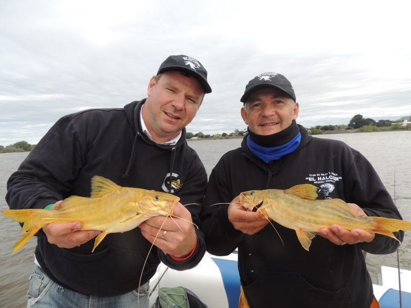 Helvecia, capital del amarillo