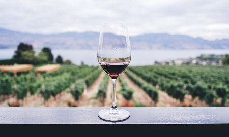 Las curiosidades y diferencias entre la producción y el consumo de vino en España y Argentina. Las curiosidades y diferencias entre la producción y el consumo de vino en España y Argentina.