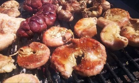 Tras comer el asado, empezaron a sentirse mal. Ingresaron al hospital con un cuadro de diarrea y vómitos. Tras comer el asado, empezaron a sentirse mal. Ingresaron al hospital con un cuadro de diarrea y vómitos.