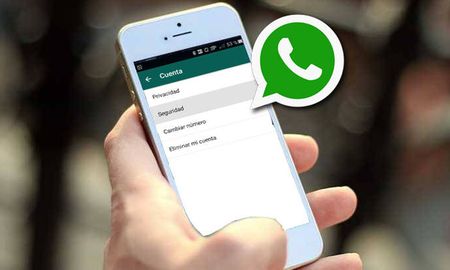 whatsapp funcionara muy pronto sin conexion a internet whatsapp funcionara muy pronto sin conexion a internet
