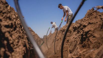 Eficiencia bajo tierra: el riego que transforma la agricultura en Córdoba