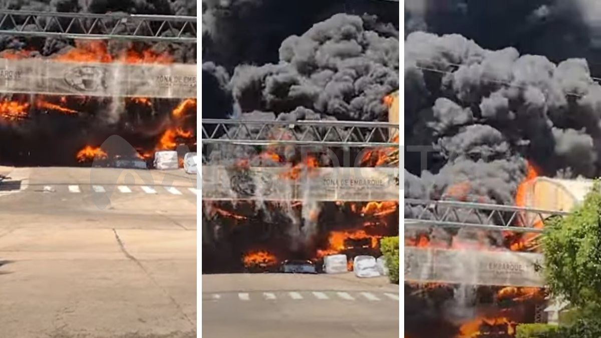 El incendio comenzó alrededor de las 11:05 en la zona de embarque de la empresa. Trabajaron bomberos de Las Toscas