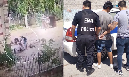 La Plata: un hombre desmayó a golpes a un animal en extinción e intentó robárselo La Plata: un hombre desmayó a golpes a un animal en extinción e intentó robárselo