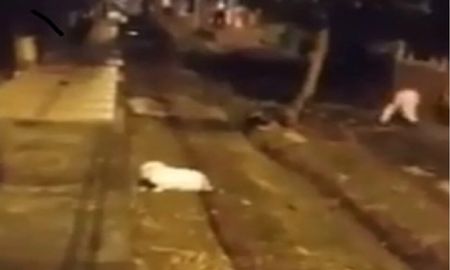 Filmaron al hombre invisible corriendo por la calle y nadie entiende nada Filmaron al hombre invisible corriendo por la calle y nadie entiende nada