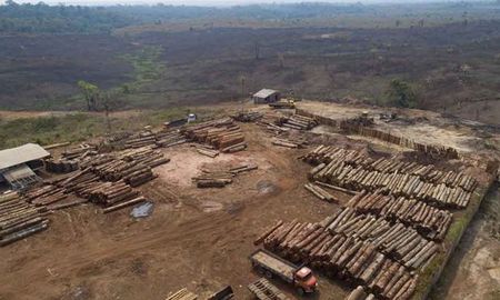 Deforestación en Amazonía Deforestación en Amazonía