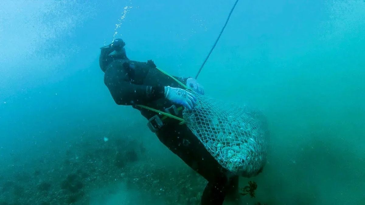 Un pescador fue hallado sin vida en Chubut.
