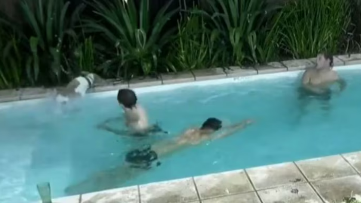 El perro Arturo se cayó a la piscina en la casa de Gran Hermano. El perro Arturo se cayó a la piscina en la casa de Gran Hermano.