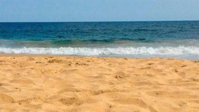 Hallaron un extraño y deforme “monstruo” marino de tres metros en una playa