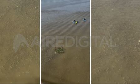 Un gran cardumen fue avistado en la Laguna Setúbal. Un gran cardumen fue avistado en la Laguna Setúbal.