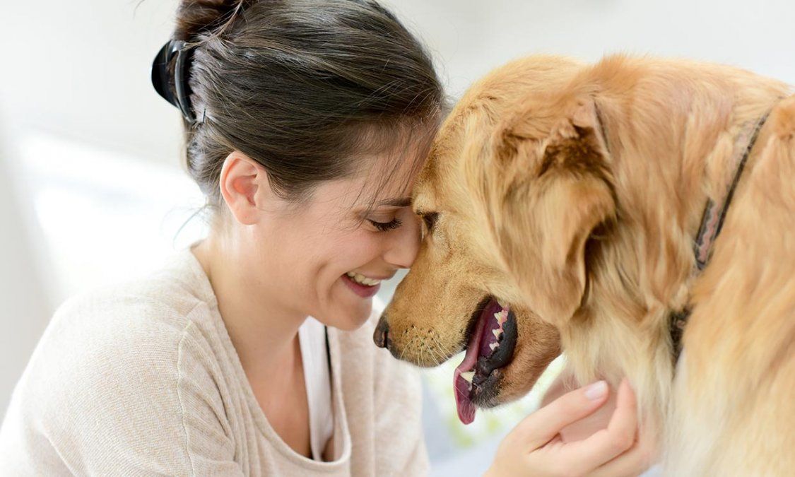Tu perro tiene muchas cosas que decirte, y lo hace de estas formas