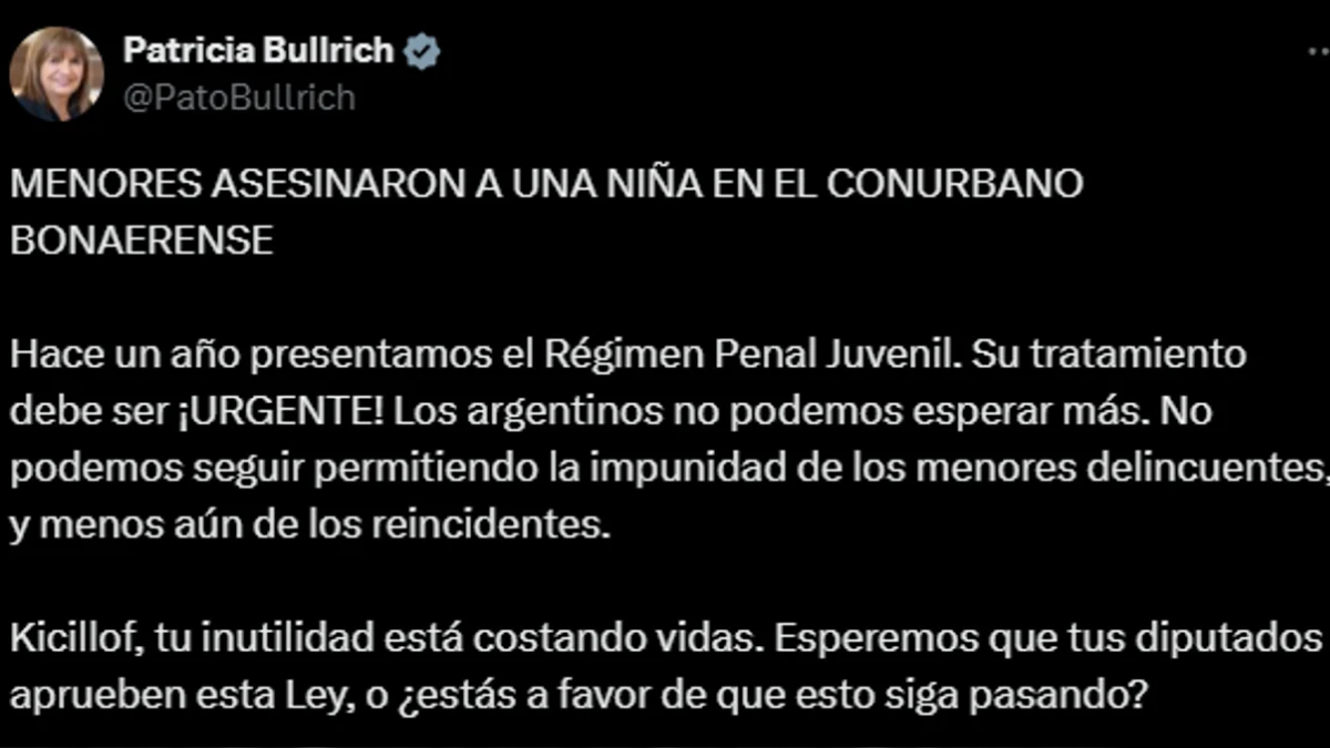 El tuit de Patricia Bullrich. El tuit de Patricia Bullrich.