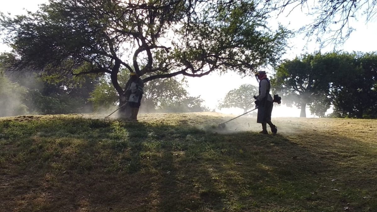 Entre las tareas que se realizan en el barrio El Pozo se destaca el mantenimiento de plazas y paseos.