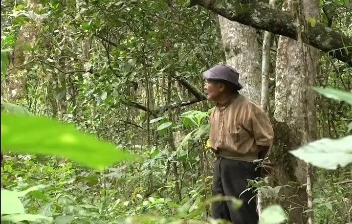 En una vieja hacienda cafetalera abandonada armó su casa. Foto: Captura TV