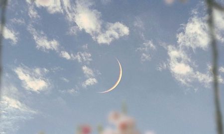 la luna en escorpio pondra intenso a tres signos del zodiaco la luna en escorpio pondra intenso a tres signos del zodiaco