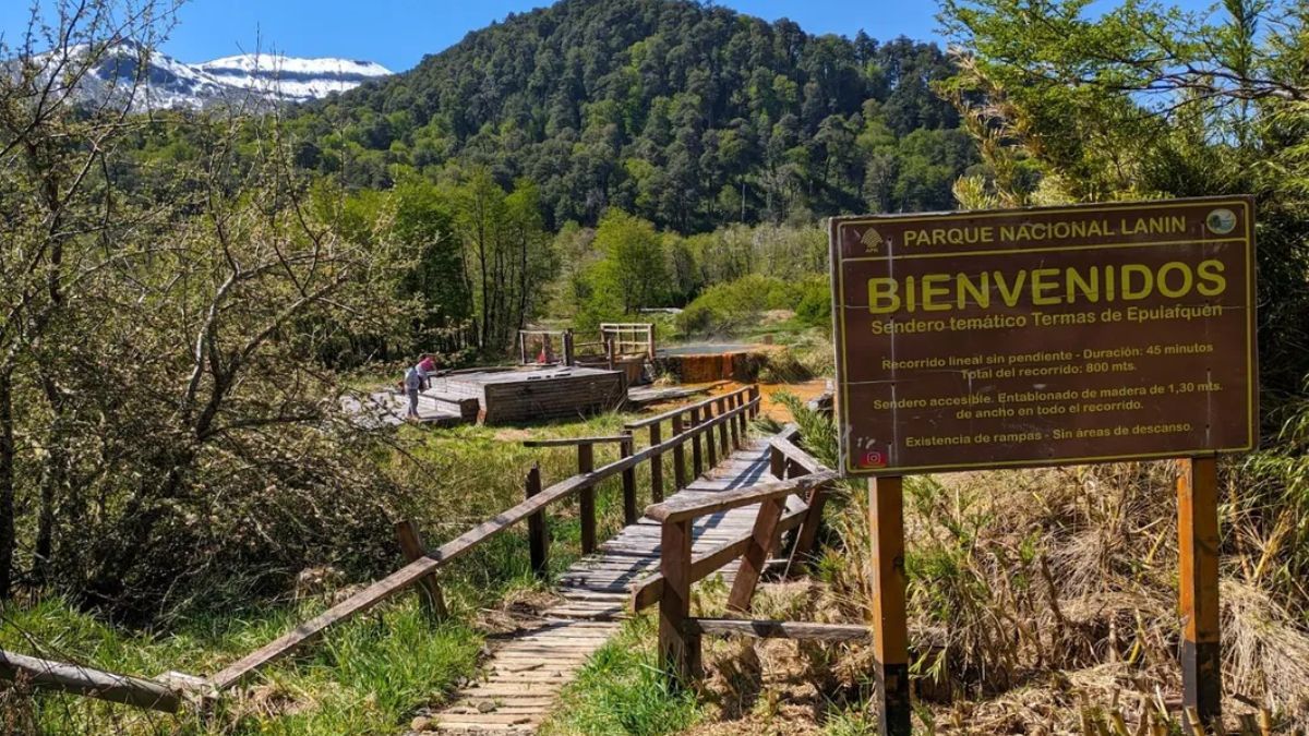 Los senderos entre araucarias milenarias invitan a descubrir un paisaje moldeado por la actividad volcánica. Los senderos entre araucarias milenarias invitan a descubrir un paisaje moldeado por la actividad volcánica.