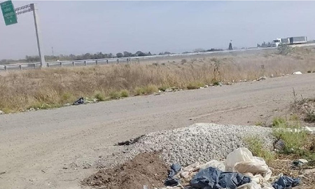 Imputaron a un veterinario que habría arrojado animales muertos en un predio baldío Imputaron a un veterinario que habría arrojado animales muertos en un predio baldío