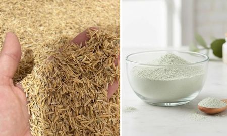 valor agregado: transforman la cascara de arroz en un nanomaterial a base de silice valor agregado: transforman la cascara de arroz en un nanomaterial a base de silice