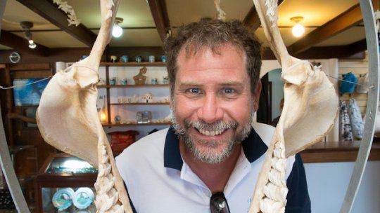 La curiosa historia del hombre que quería ser pescador de tiburones y acabo protegiéndolos.