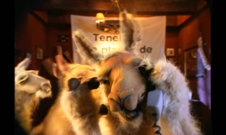 la llama que llama en primera persona: la voz de uno de los titiriteros antes del regreso la llama que llama en primera persona: la voz de uno de los titiriteros antes del regreso