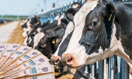 Créditos a tasa 0% para tambos de Santa Fe. Créditos a tasa 0% para tambos de Santa Fe.