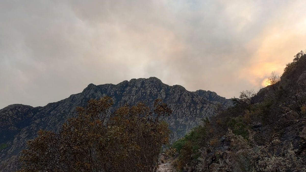 La principal hipótesis es que el fuego se originó a partir de la colilla de un cigarrillo. La principal hipótesis es que el fuego se originó a partir de la colilla de un cigarrillo.
