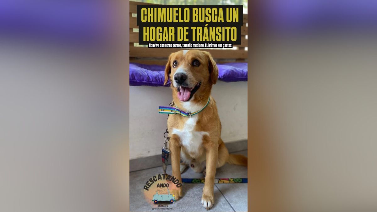 Desde Desde