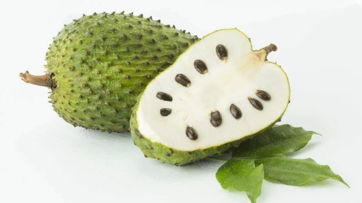 Alimentación saludable: la guanábana ayuda a fortalecer la visión de forma natural. Alimentación saludable: la guanábana ayuda a fortalecer la visión de forma natural.