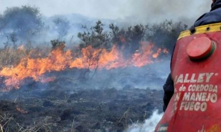 Fernández ratificó que se dispuso la actuación inmediata de las Fuerzas Armadas para frenar los incendios. Fernández ratificó que se dispuso la actuación inmediata de las Fuerzas Armadas para frenar los incendios.