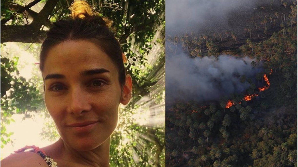 La polémica foto de Juana Viale en los incendios de Corrientes
