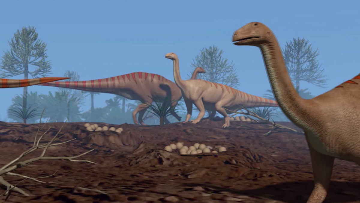 Estudios hab&iacute;an demostrado que algunos de estos animales que existieron en la &uacute;ltima etapa de la Era de los dinosaurios (el per&iacute;odo Cret&aacute;cico) viv&iacute;an en manadas.