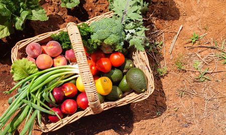 Senasa eliminó restricciones en la exportación de frutas y hortalizas. Senasa eliminó restricciones en la exportación de frutas y hortalizas.