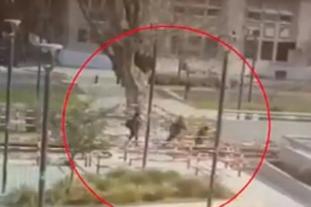 Video: un jamaiquino atacó con un cuchillo a tres adolescentes en Puerto Madero